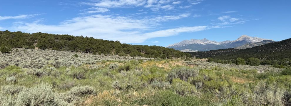 Farm Property for sale in Costilla County, Colorado