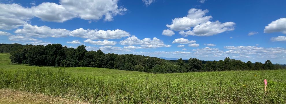 Property for sale in Wilkes County, North Carolina