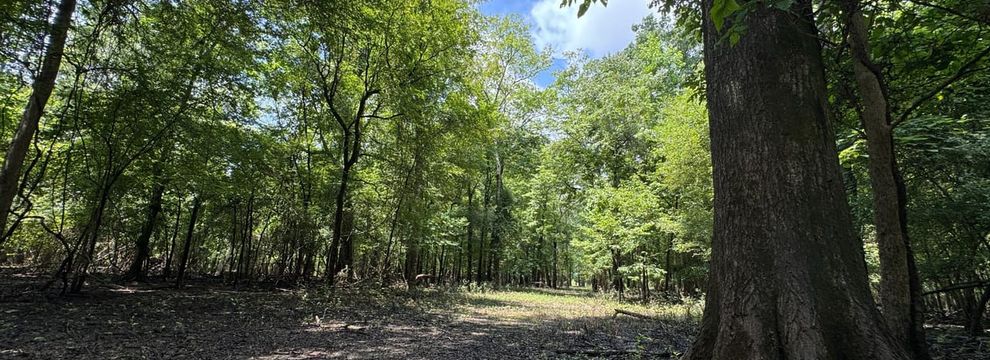 Property for sale in Monroe County, Arkansas