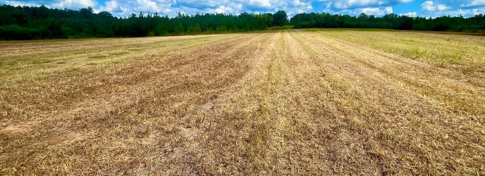 Hunting Land for sale in Bullock County, Alabama