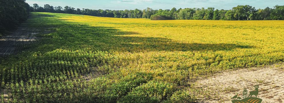 Farm Property for sale in Franklin County, Illinois