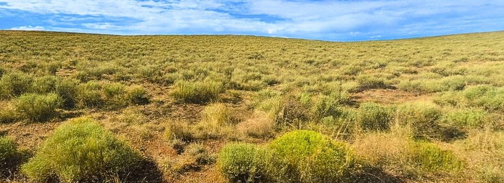 Ranch Property for sale in Costilla County, Colorado