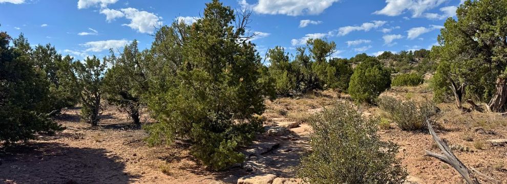 Property for sale in Duchesne County, Utah