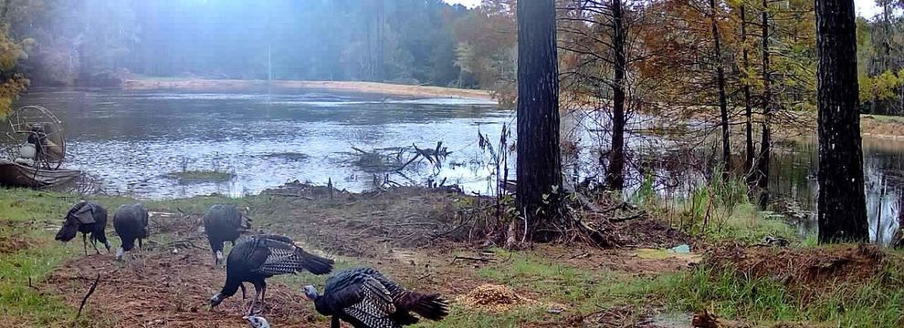 Waterfront Property for sale in Madison County, Mississippi