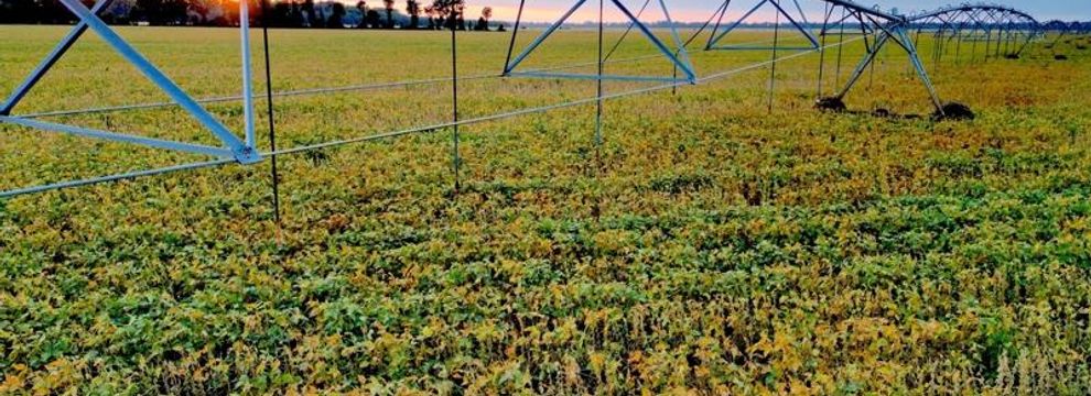 Ranch Property for sale in Madison Parish, Louisiana