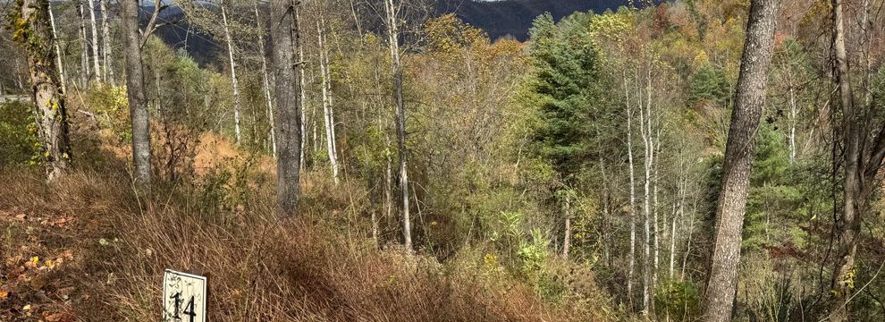 Undeveloped Land for sale in Johnson County, Tennessee