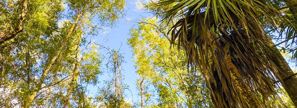 Property for sale in Putnam County, Florida