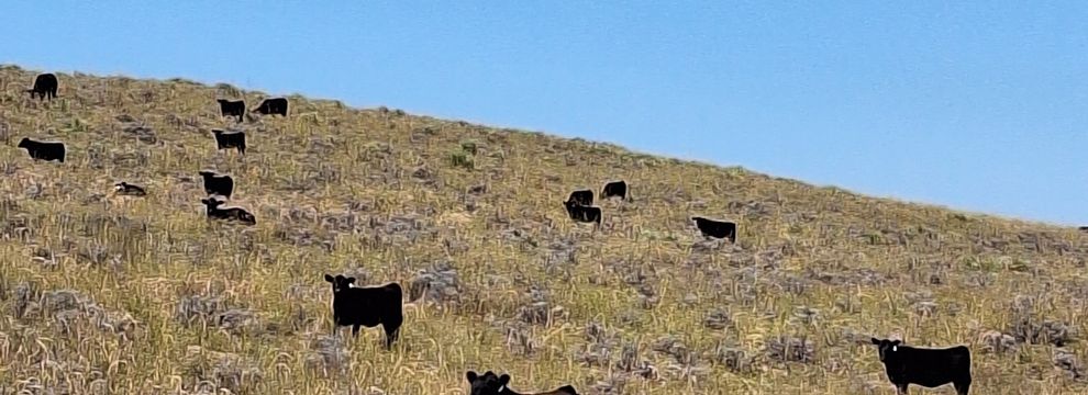 Farm Property for sale in Yuma County, Colorado