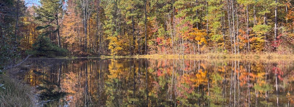 Farm Property for sale in Richmond County, North Carolina