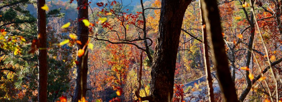 Residential Property for sale in Le Flore County, Oklahoma