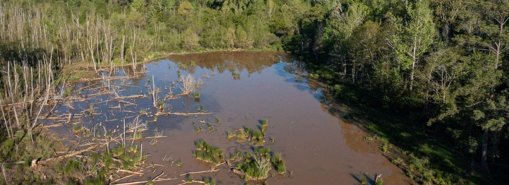 Farm Property for sale in Rusk County, Texas