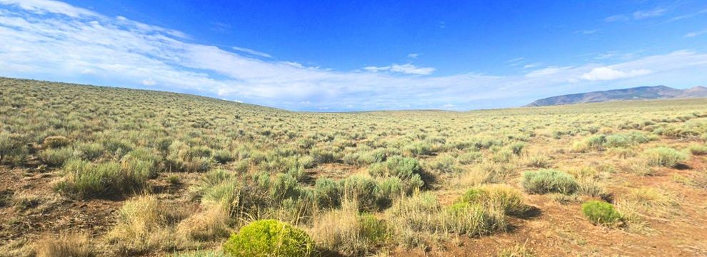 Farm Property for sale in Costilla County, Colorado