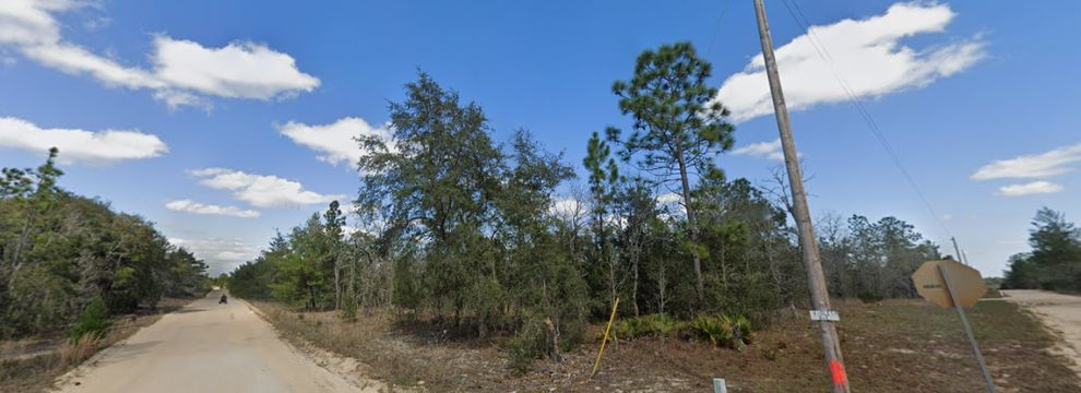 Undeveloped Land for sale in Putnam County, Florida