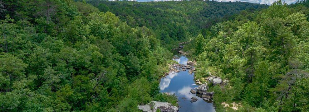 Property for sale in Cherokee County, Alabama