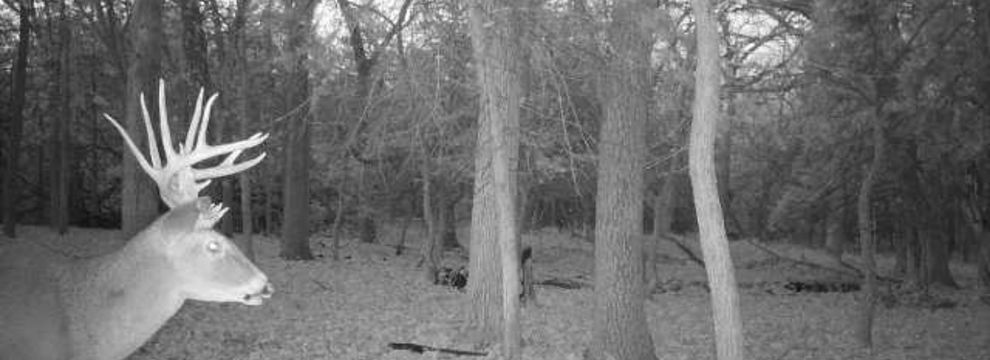 Hunting Land for sale in Pottawatomie County, Kansas