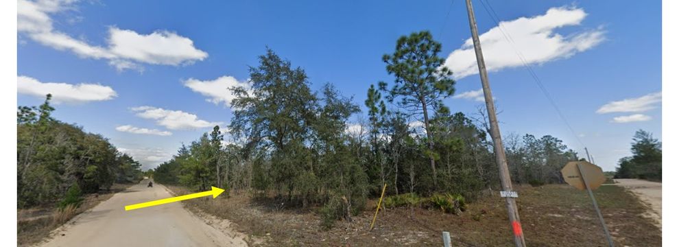 Timberland Property for sale in Putnam County, Florida