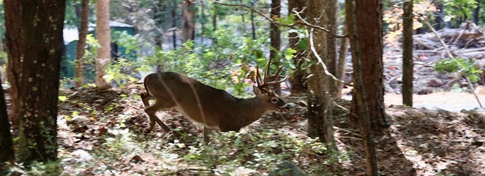 Farm Property for sale in Le Flore County, Oklahoma