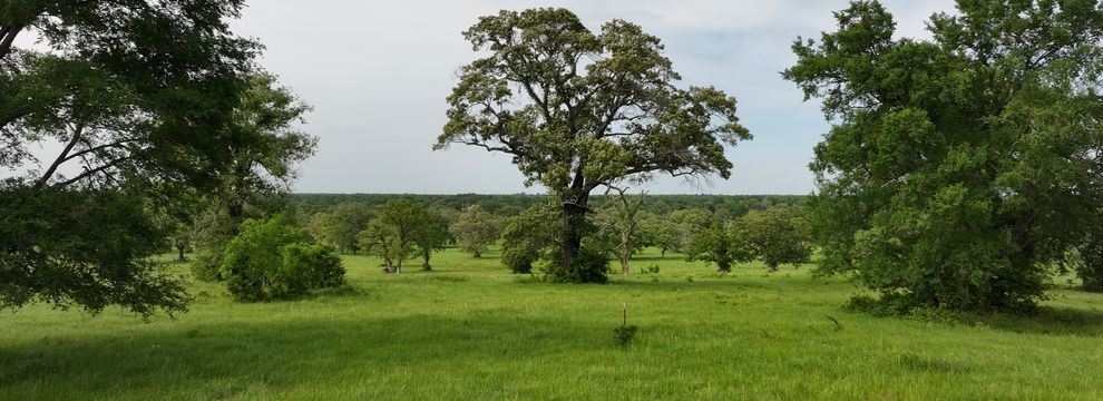 Farm Property for sale in Madison County, Texas