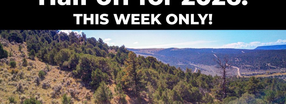 Farm Property for sale in Costilla County, Colorado