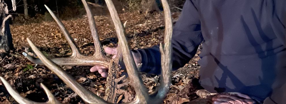 Property for sale in Pope County, Illinois