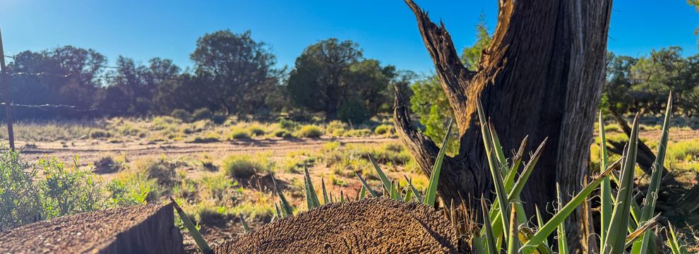 Farm Property for sale in Navajo County, Arizona