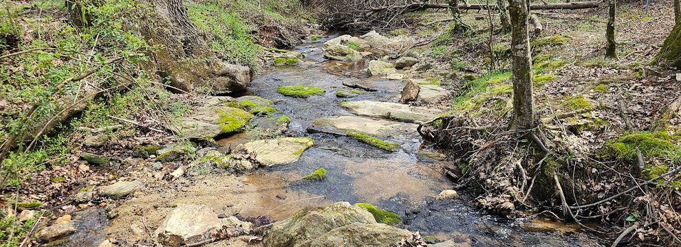 Property for sale in Wilkes County, North Carolina