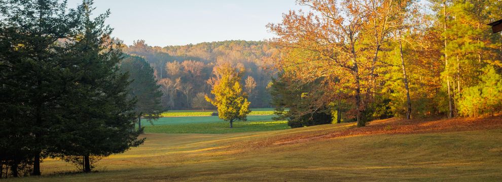 Riverfront Property for sale in Upson County, Georgia
