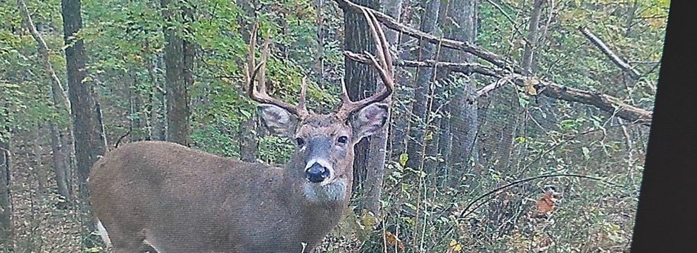 Farm Property for sale in Pope County, Illinois