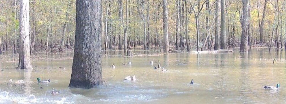 Farm Property for sale in Monroe County, Arkansas