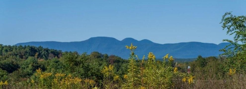 Ranch Property for sale in Greene County, New York