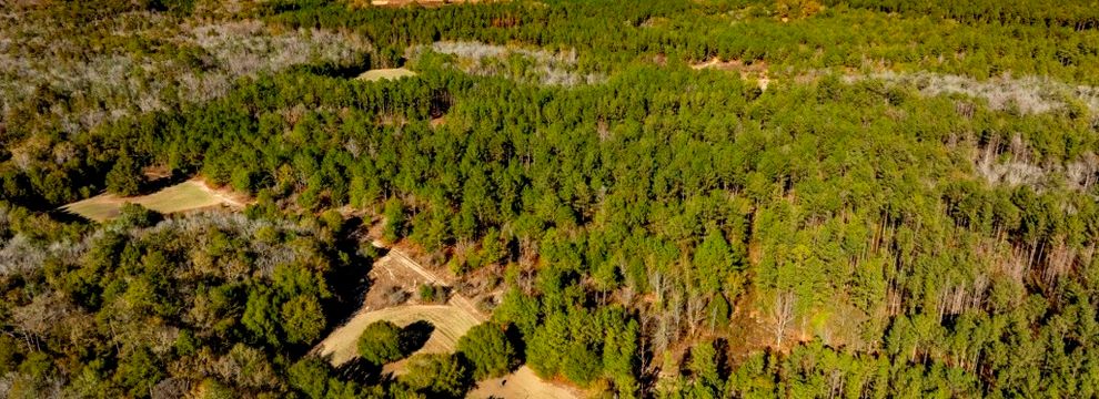Timberland Property for sale in Taylor County, Georgia