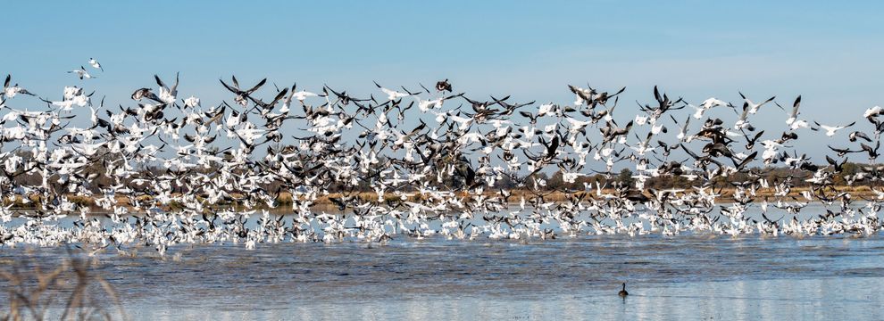 Ranch Property for sale in Prairie County, Arkansas