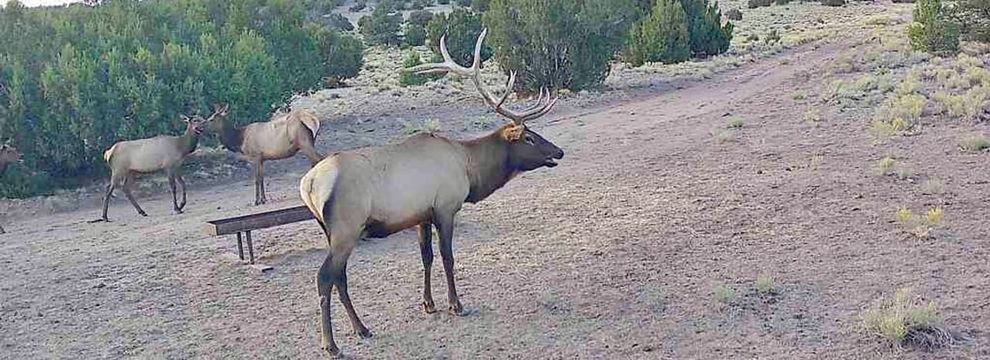 Ranch Property for sale in Catron County, New Mexico