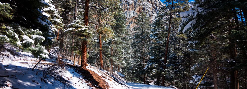 Undeveloped Land for sale in Rio Arriba County, New Mexico