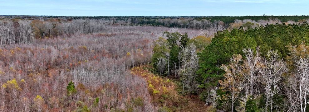 Property for sale in Berkeley County, South Carolina