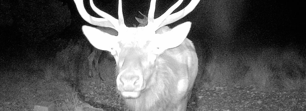 Recreational Property for sale in Edwards County, Texas