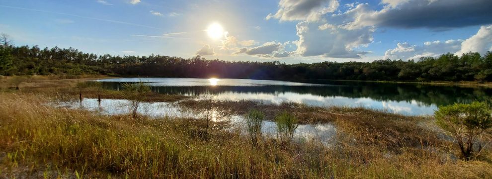 Timberland Property for sale in Putnam County, Florida