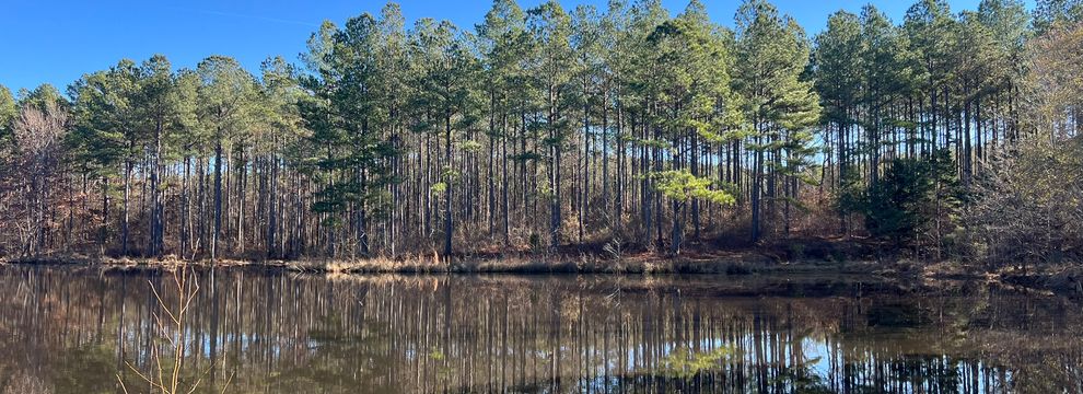 Farm Property for sale in Calhoun County, Mississippi