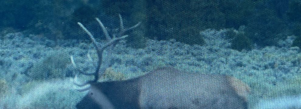 Recreational Property for sale in Rio Arriba County, New Mexico