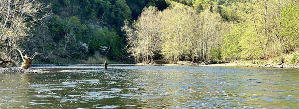 Hunting Land for sale in Hampshire County, West Virginia