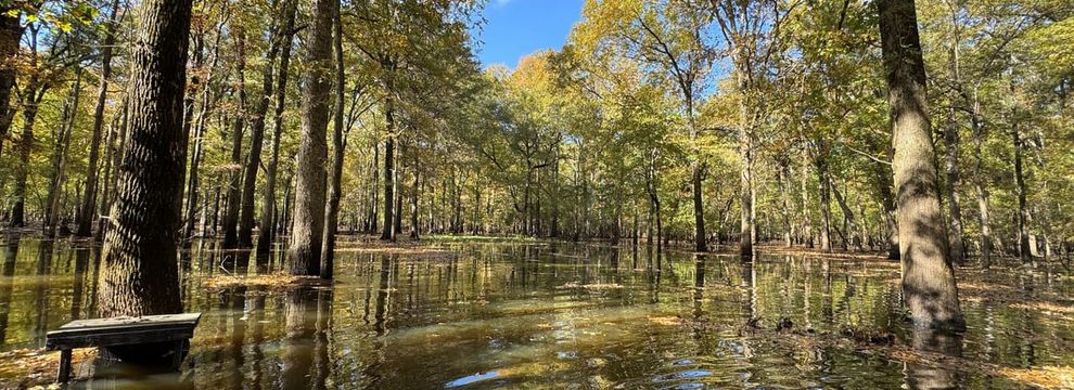 Property for sale in Monroe County, Arkansas