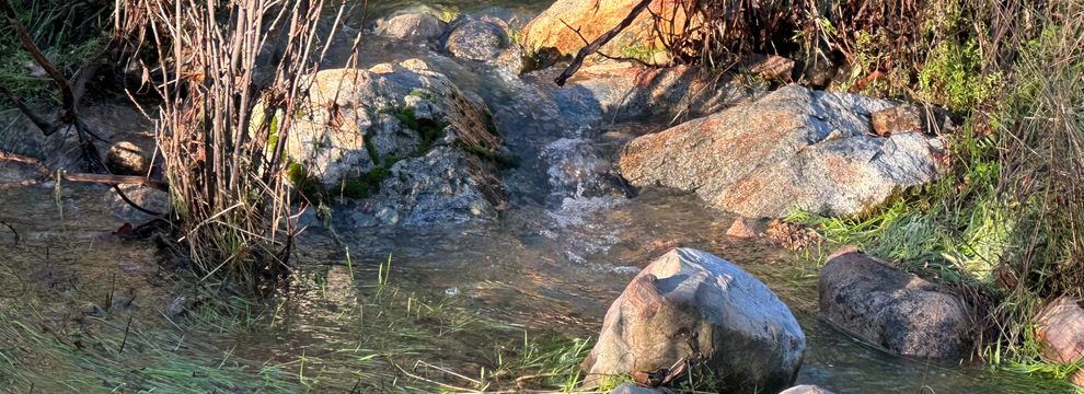 Farm Property for sale in Mariposa County, California