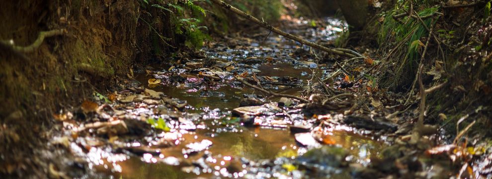 Recreational Property for sale in Rusk County, Texas