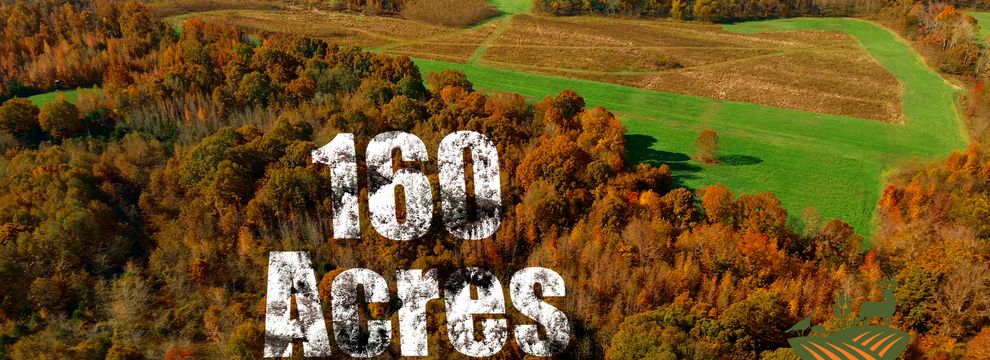 Property for sale in Pope County, Illinois