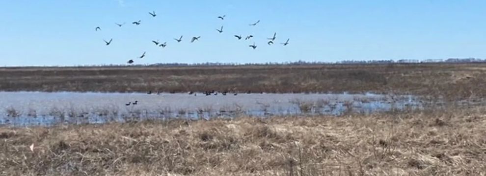 Ranch Property for sale in New Madrid County, Missouri