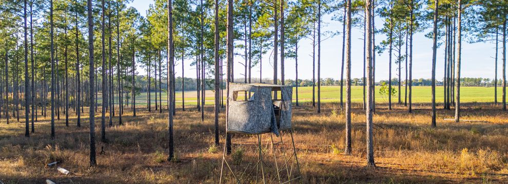Farm Property for sale in Lee County, Georgia