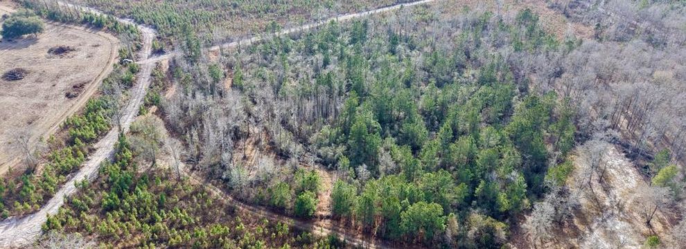 Timberland Property for sale in Bamberg County, South Carolina