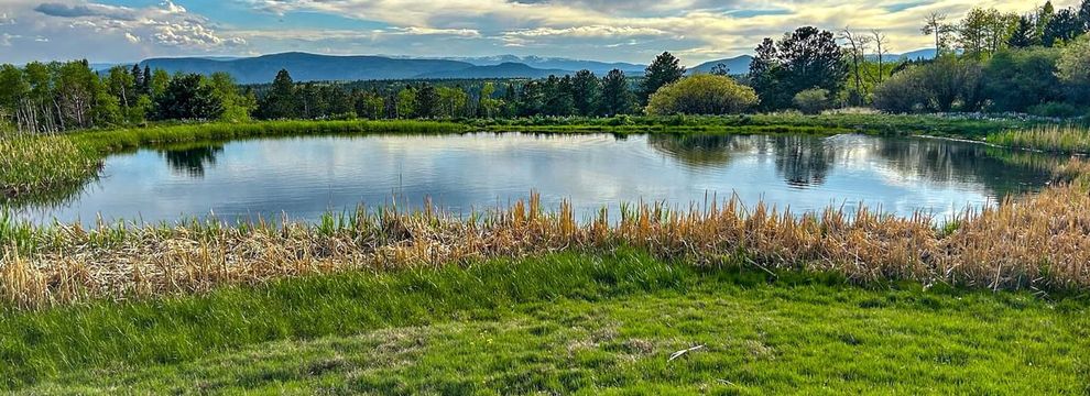 Residential Property for sale in Colfax County, New Mexico