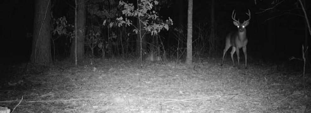 Farm Property for sale in Calhoun County, Mississippi