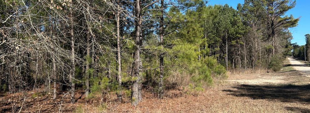Timberland Property for sale in Darlington County, South Carolina